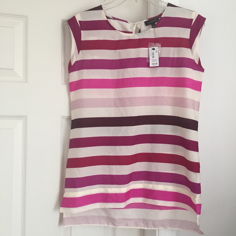 The Limited Striped Blouse